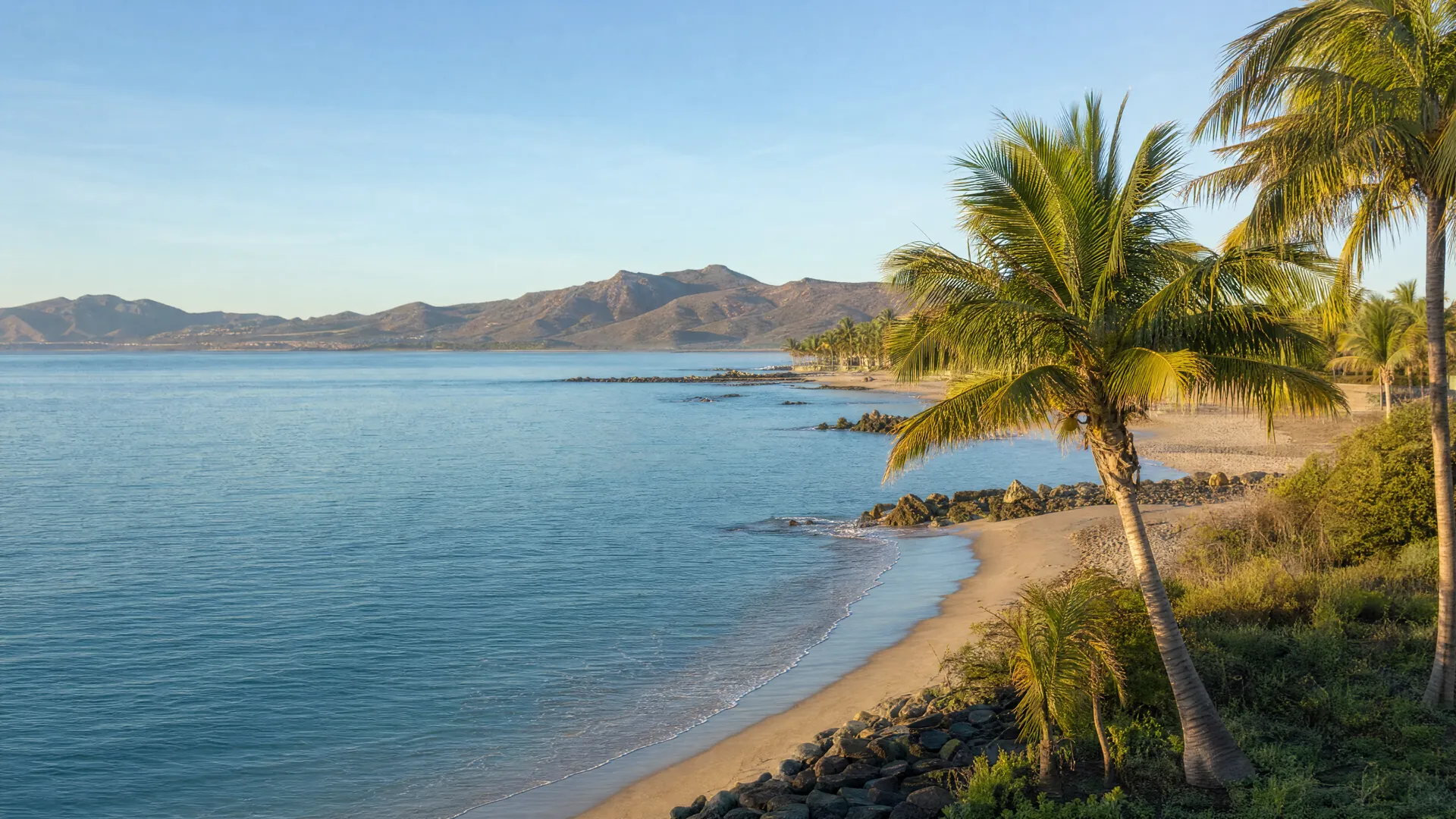Bahía de San José del Cabo por la mañana, con palmeras y montañas al fondo