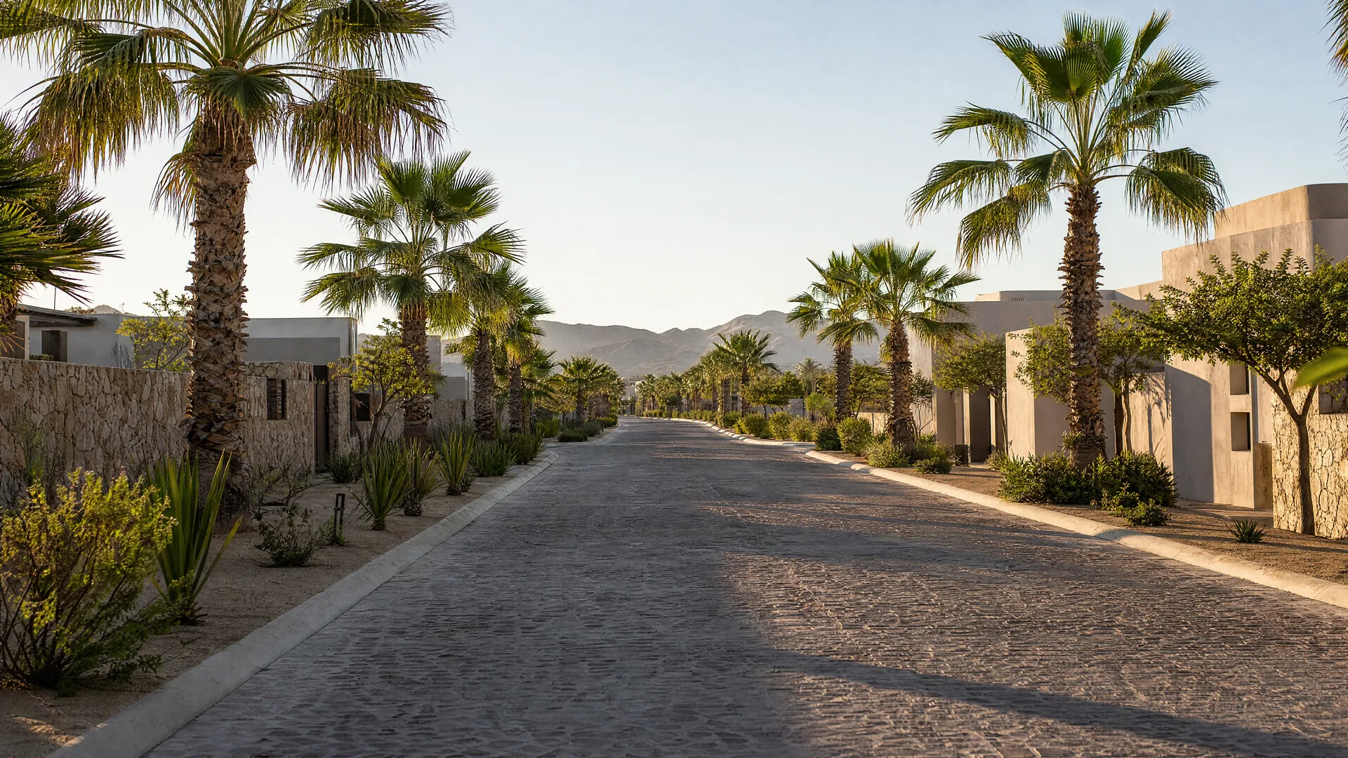 Bulevar vacío con palmeras dentro de un desarrollo cerca de San José del Cabo por la mañana