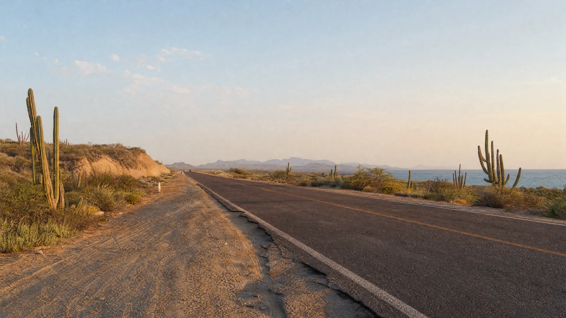 Carretera desértica en Comondú con orilla erosionada, cactus cardón y un bordo de tierra a lo lejos bajo luz matinal