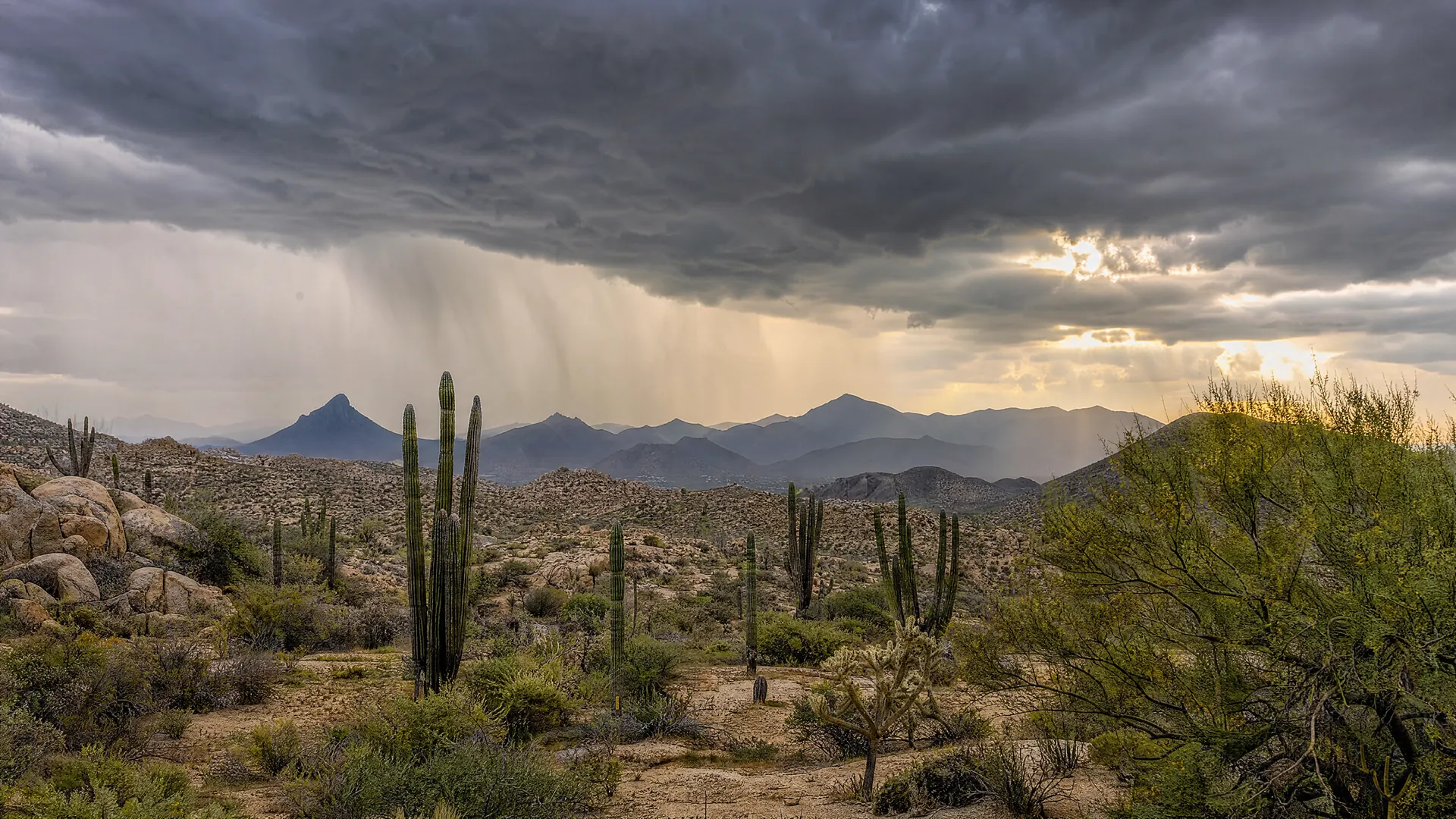 Nubes oscuras de temporal sobre la sierra y el desierto con cactus cerca de Los Cabos, con cortinas de lluvia a lo lejos
